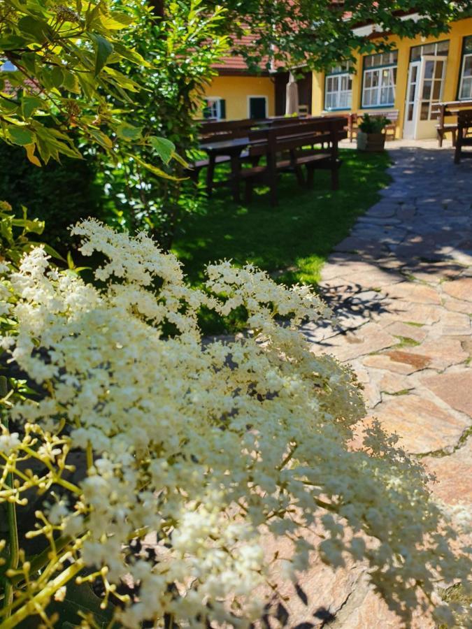 Landhof Steinbaeck Hotel Sankt Stefan ob Stainz Exterior photo