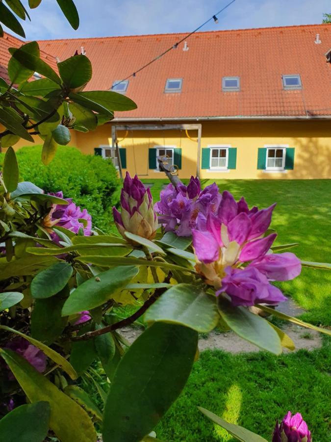 Landhof Steinbaeck Hotel Sankt Stefan ob Stainz Exterior photo